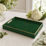 Daily Green Geometric Plastic Tray – Gold Filigree Scale Pattern - MintiHome