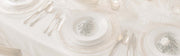 Transparent Charger Plates - MintiHome